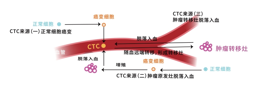 CTC����.jpg